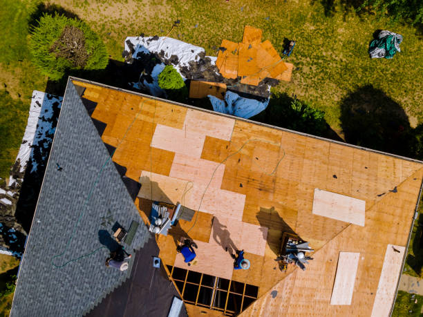 Best Storm Damage Roof Repair  in Redwater, TX