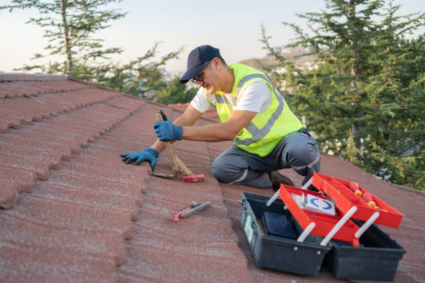 Best Local Roofing Companies  in Redwater, TX
